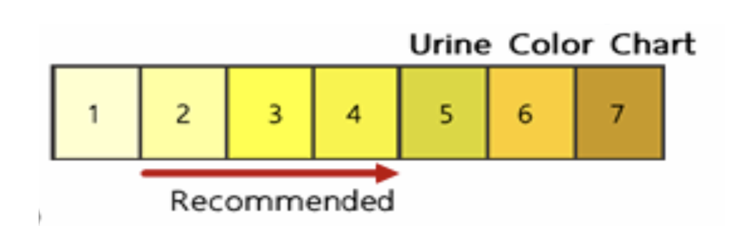 Urine Color Chart
