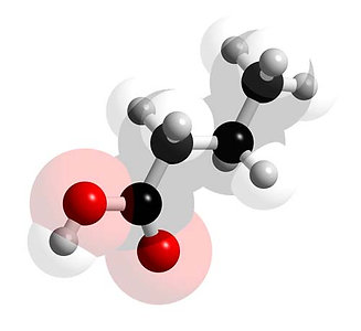 Fatty Acid