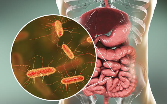 Five groups of diseases that can be prevented by maintaining a balanced gut microbiome.